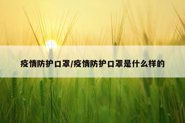 疫情防护口罩/疫情防护口罩是什么样的