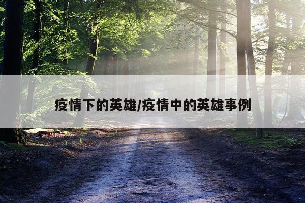 疫情下的英雄/疫情中的英雄事例
