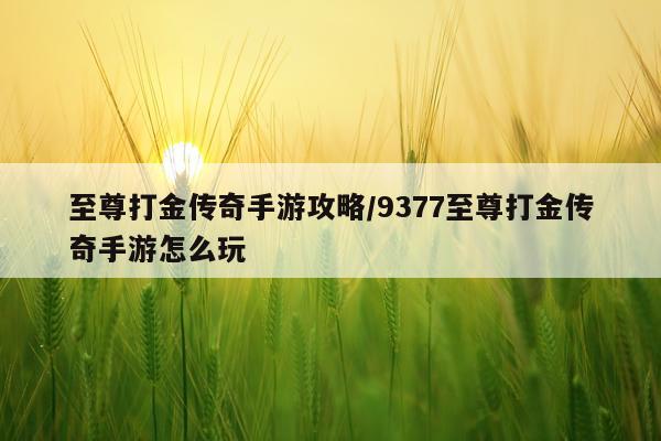 至尊打金传奇手游攻略/9377至尊打金传奇手游怎么玩