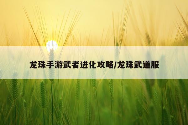 龙珠手游武者进化攻略/龙珠武道服