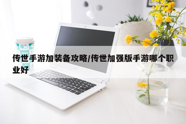 传世手游加装备攻略/传世加强版手游哪个职业好