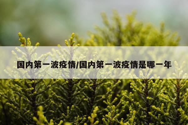 国内第一波疫情/国内第一波疫情是哪一年