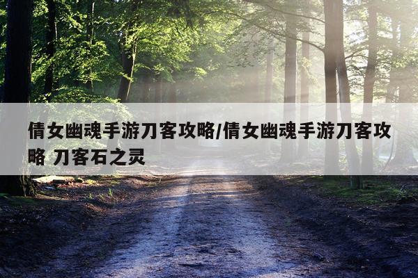 倩女幽魂手游刀客攻略/倩女幽魂手游刀客攻略 刀客石之灵