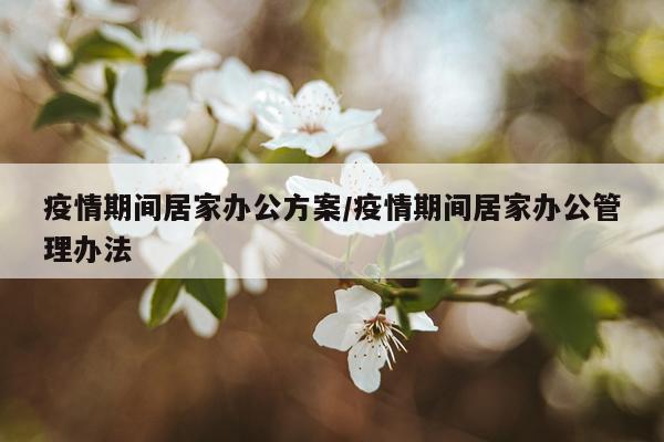 疫情期间居家办公方案/疫情期间居家办公管理办法