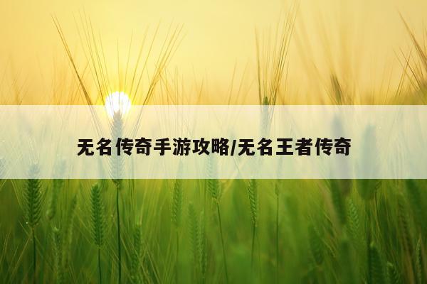 无名传奇手游攻略/无名王者传奇