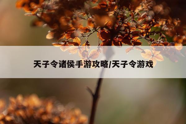 天子令诸侯手游攻略/天子令游戏