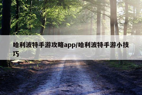 哈利波特手游攻略app/哈利波特手游小技巧