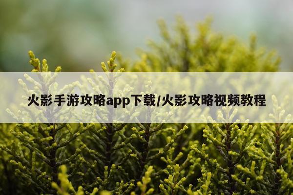 火影手游攻略app下载/火影攻略视频教程