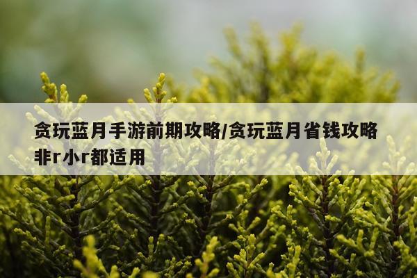 贪玩蓝月手游前期攻略/贪玩蓝月省钱攻略 非r小r都适用