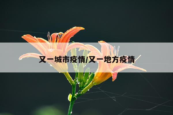 又一城市疫情/又一地方疫情