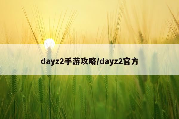 dayz2手游攻略/dayz2官方