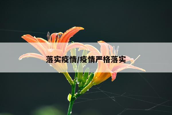 落实疫情/疫情严格落实