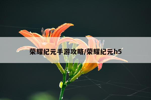 荣耀纪元手游攻略/荣耀纪元h5