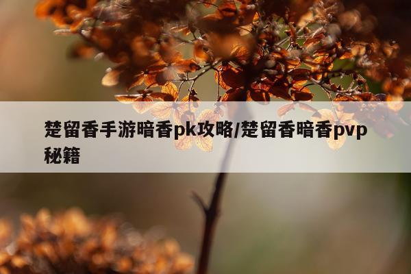 楚留香手游暗香pk攻略/楚留香暗香pvp秘籍