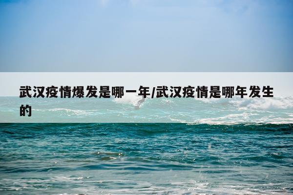 武汉疫情爆发是哪一年/武汉疫情是哪年发生的