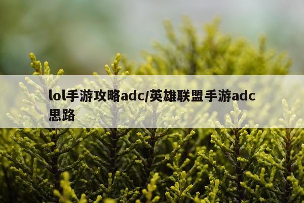 lol手游攻略adc/英雄联盟手游adc思路