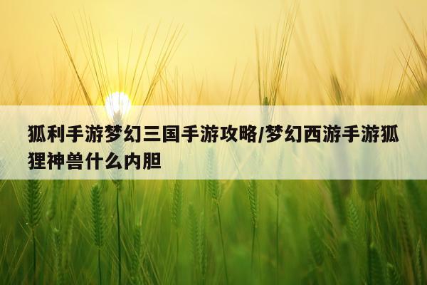 狐利手游梦幻三国手游攻略/梦幻西游手游狐狸神兽什么内胆