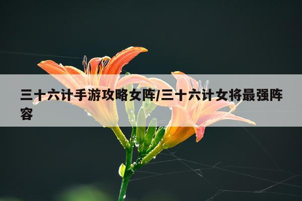 三十六计手游攻略女阵/三十六计女将最强阵容