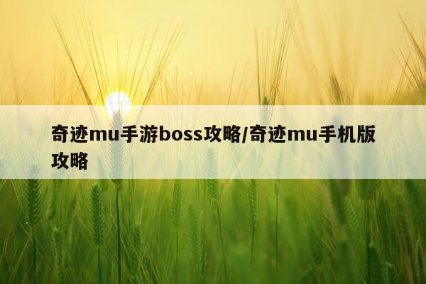 奇迹mu手游boss攻略/奇迹mu手机版攻略