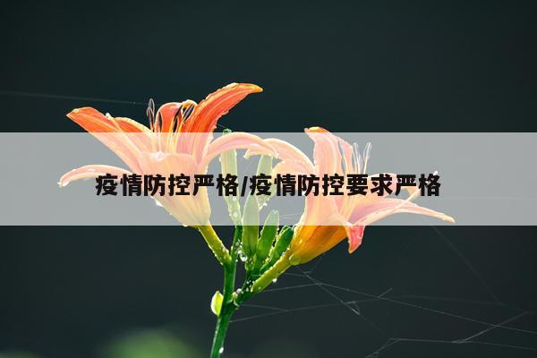 疫情防控严格/疫情防控要求严格