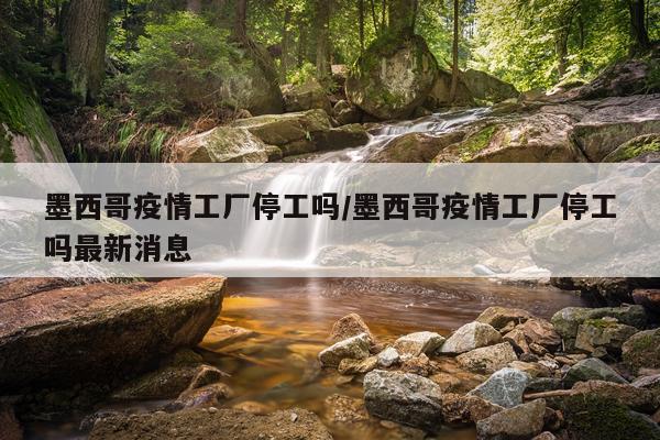 墨西哥疫情工厂停工吗/墨西哥疫情工厂停工吗最新消息