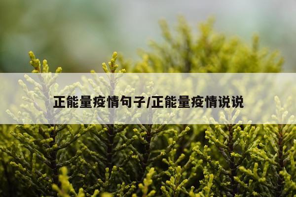 正能量疫情句子/正能量疫情说说