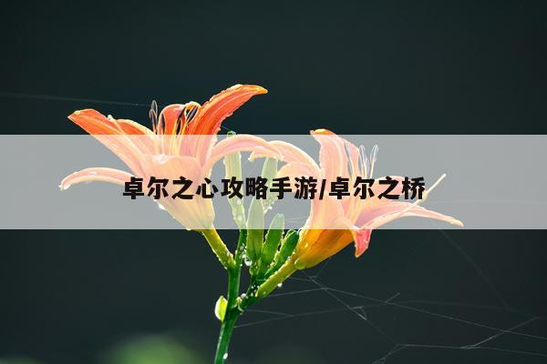 卓尔之心攻略手游/卓尔之桥