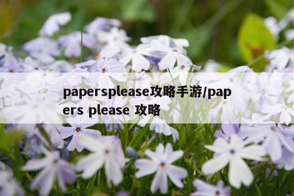 papersplease攻略手游/papers please 攻略
