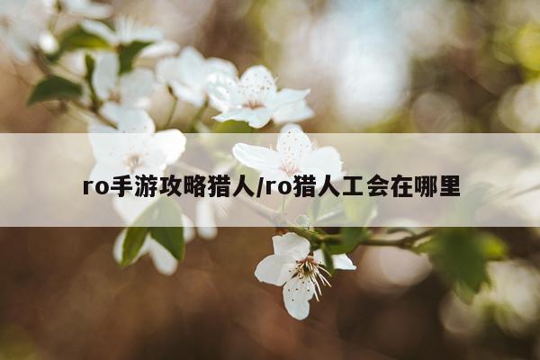 ro手游攻略猎人/ro猎人工会在哪里