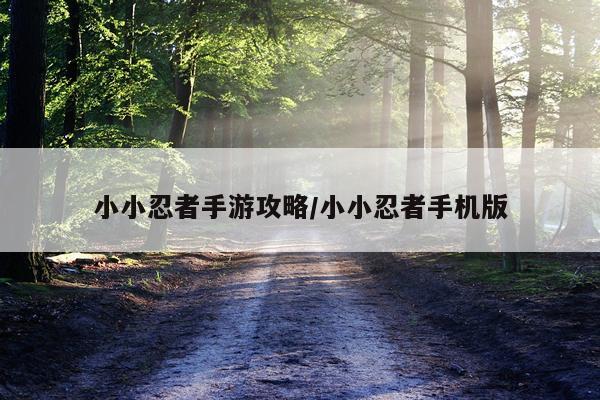 小小忍者手游攻略/小小忍者手机版