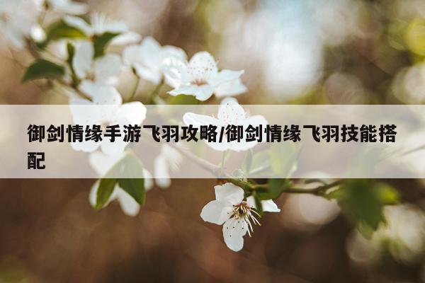 御剑情缘手游飞羽攻略/御剑情缘飞羽技能搭配