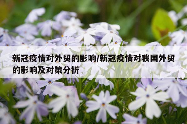 新冠疫情对外贸的影响/新冠疫情对我国外贸的影响及对策分析